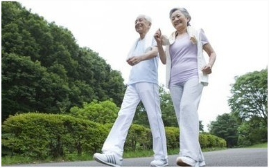智能居家养老服务网络